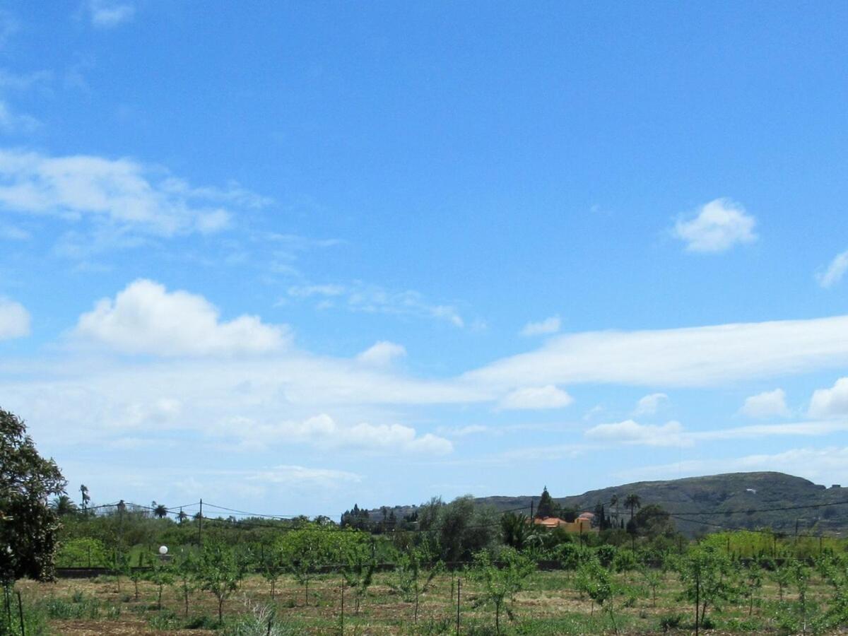 Casa Rural El Alpendre Vega de San Mateo Dış mekan fotoğraf