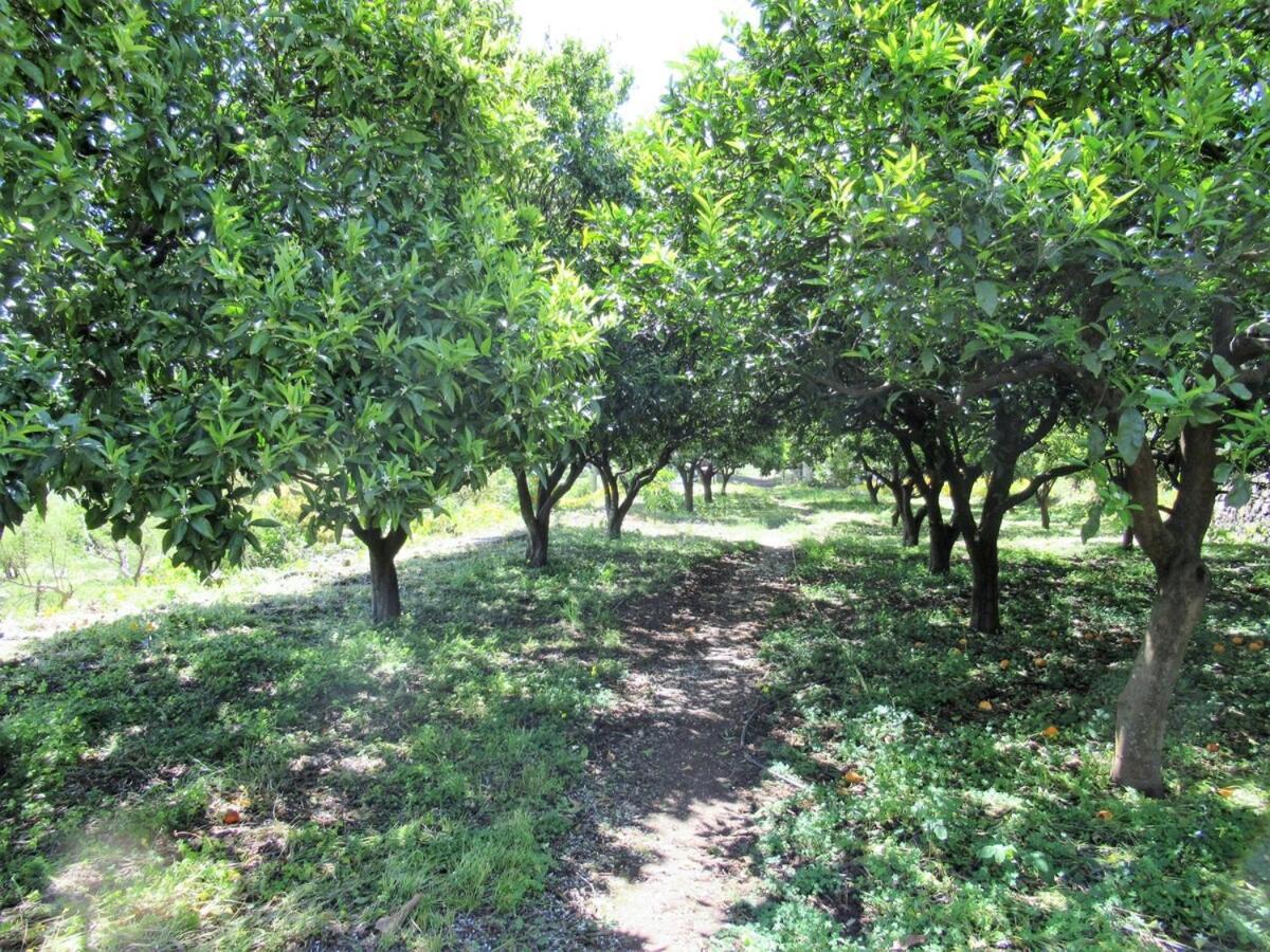 Casa Rural El Alpendre Vega de San Mateo Dış mekan fotoğraf
