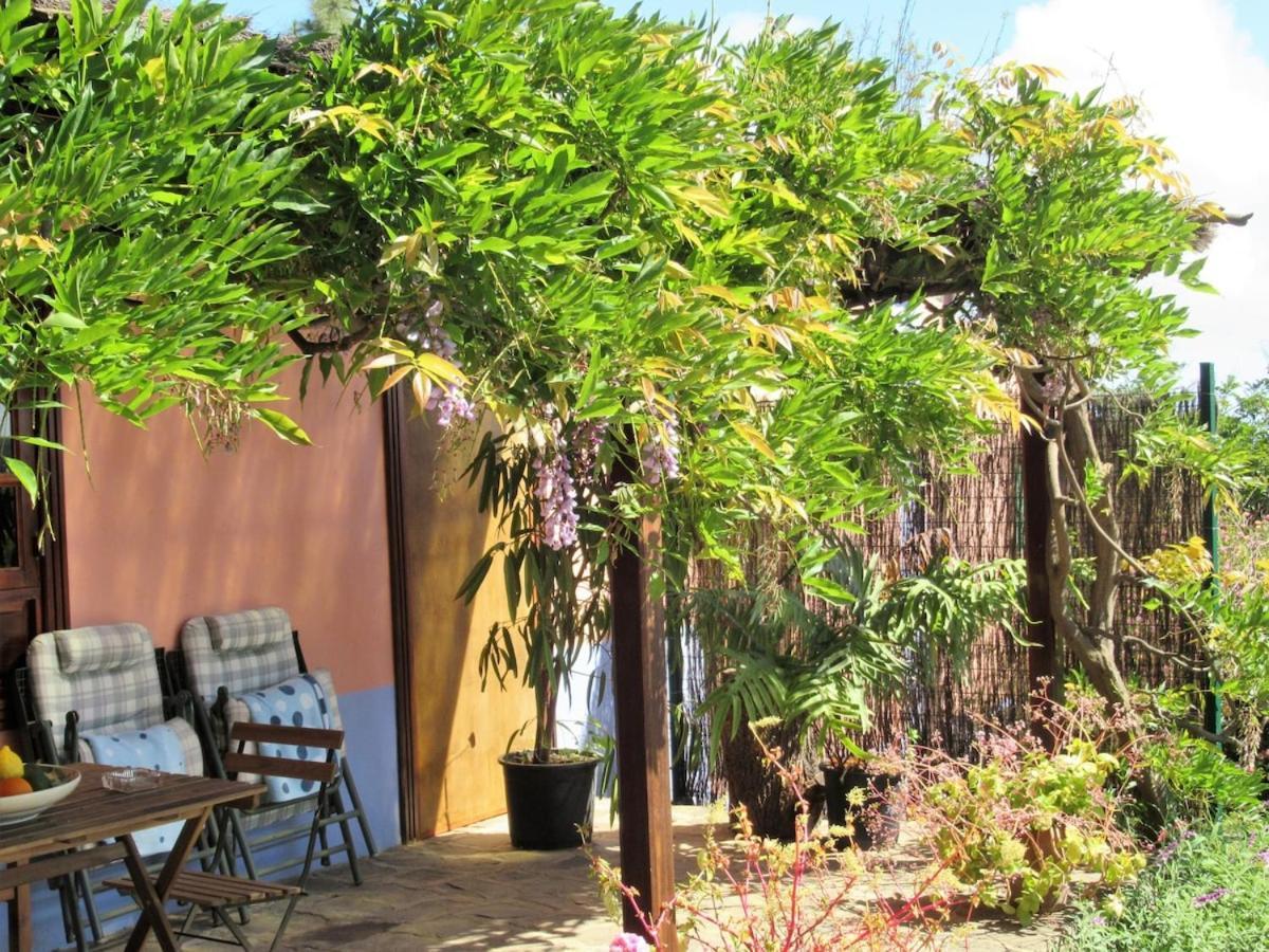 Casa Rural El Alpendre Vega de San Mateo Dış mekan fotoğraf
