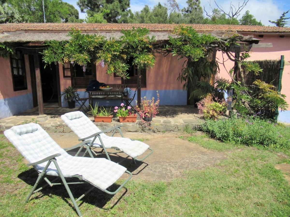 Casa Rural El Alpendre Vega de San Mateo Dış mekan fotoğraf
