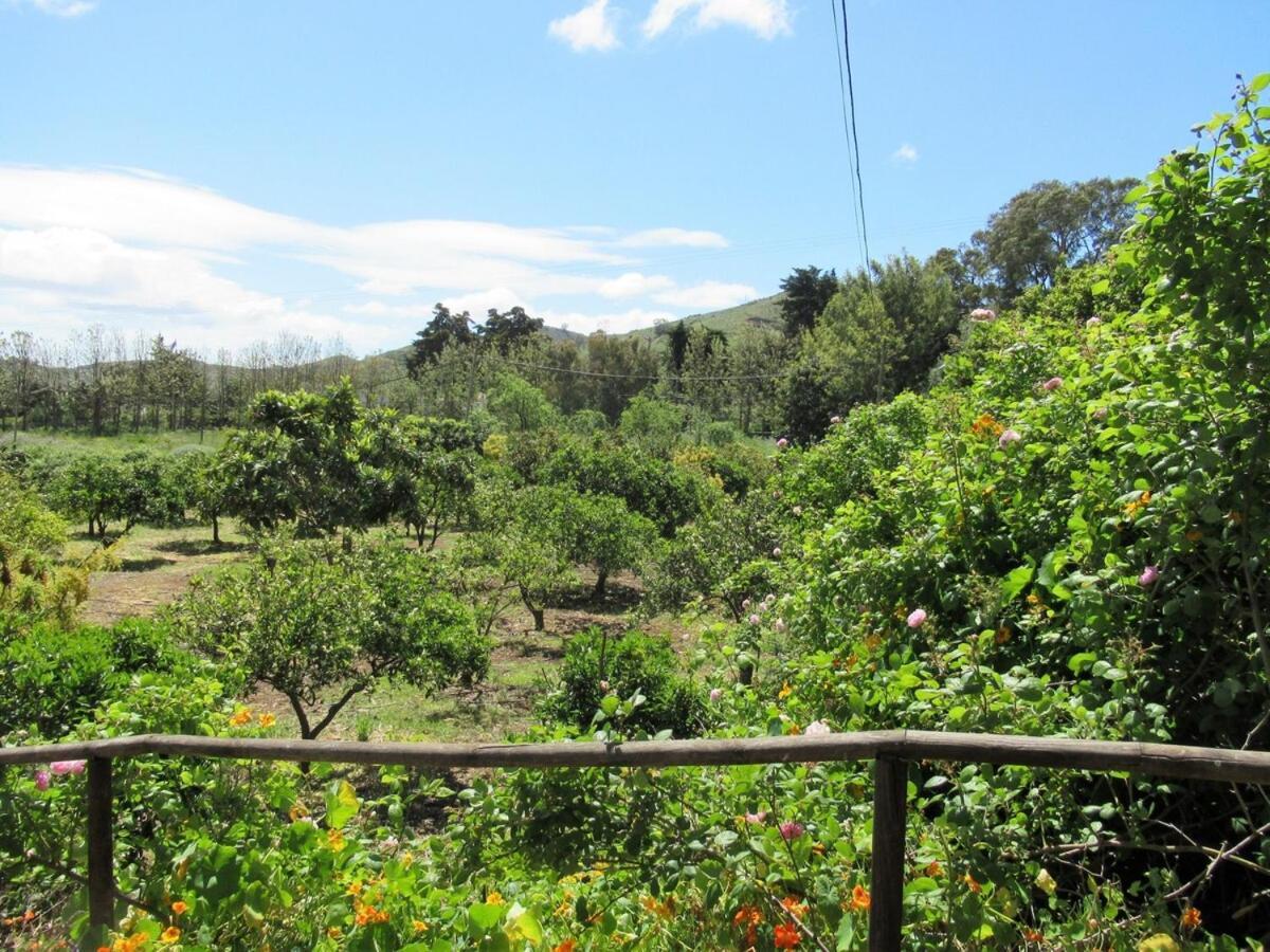 Casa Rural El Alpendre Vega de San Mateo Dış mekan fotoğraf
