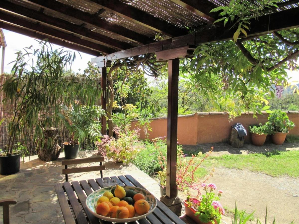 Casa Rural El Alpendre Vega de San Mateo Dış mekan fotoğraf